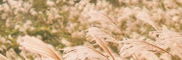 ikyccc's profile banner image