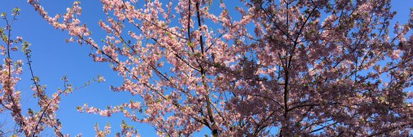 LB05g Profile Banner