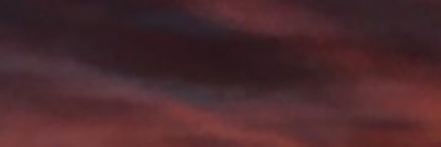 nelsonisthe1's profile banner image