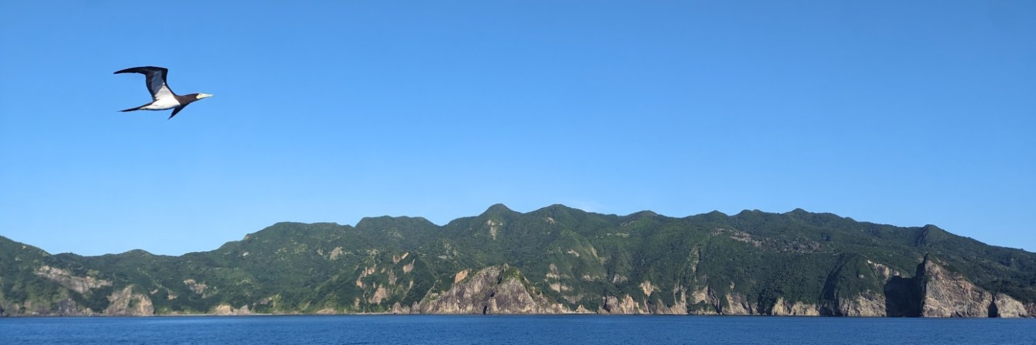 すぎい's banner