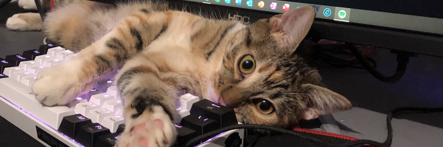 Lautacarook's profile banner image