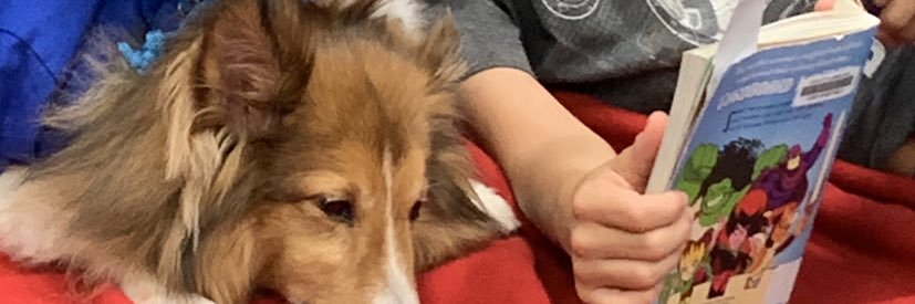 Angel Paws CFBC banner