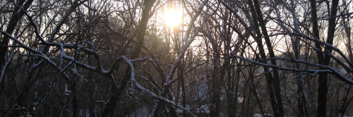 mshagirov's profile banner image