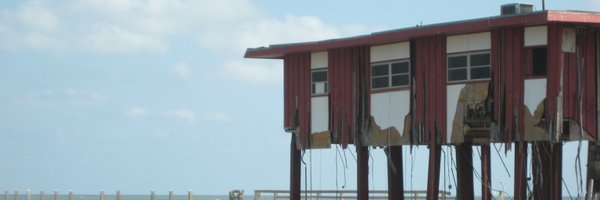 TaleaMayo Profile Banner