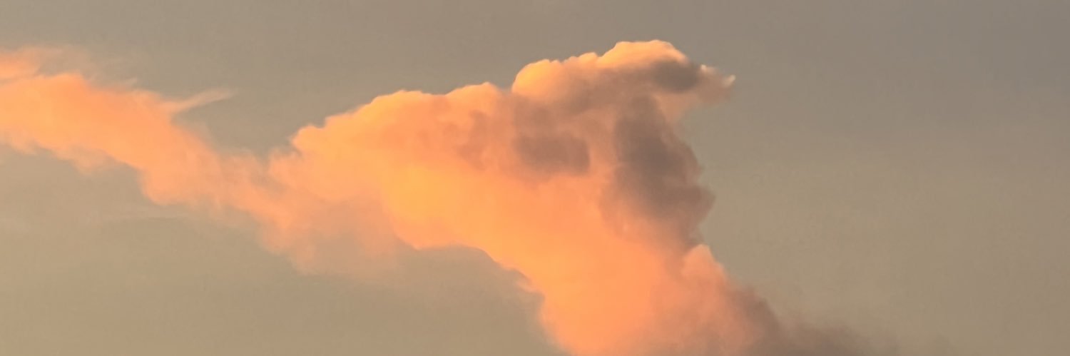 LilleFai's profile banner image
