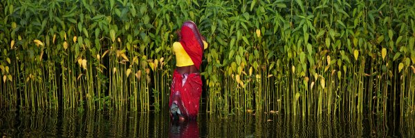 shahidul Profile Banner