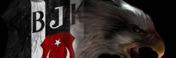 MyLittleKnight banner
