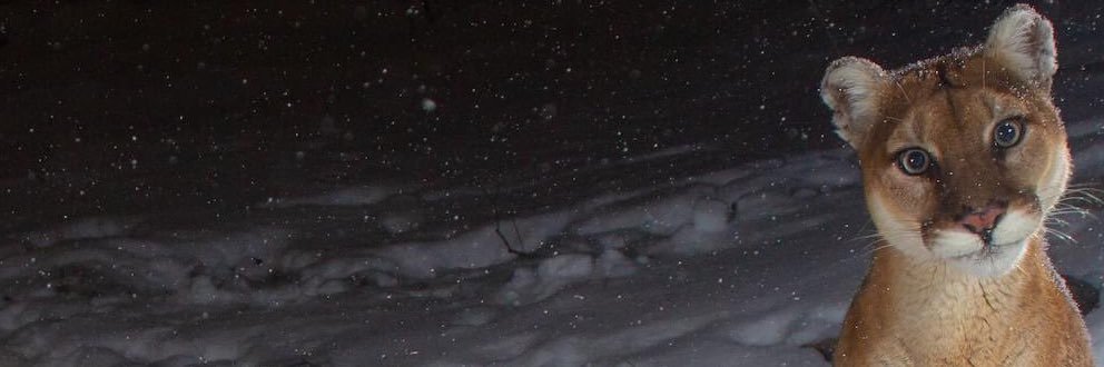 JRaquon's profile banner image
