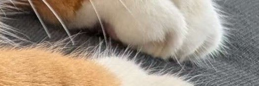 EdwinDierssen's profile banner image