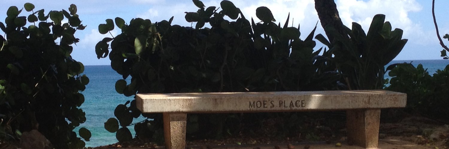 marisabaretti banner