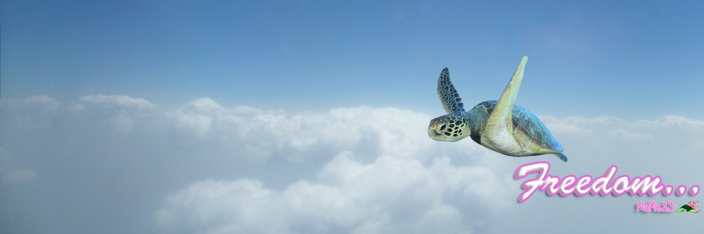 NaMe6123's profile banner image