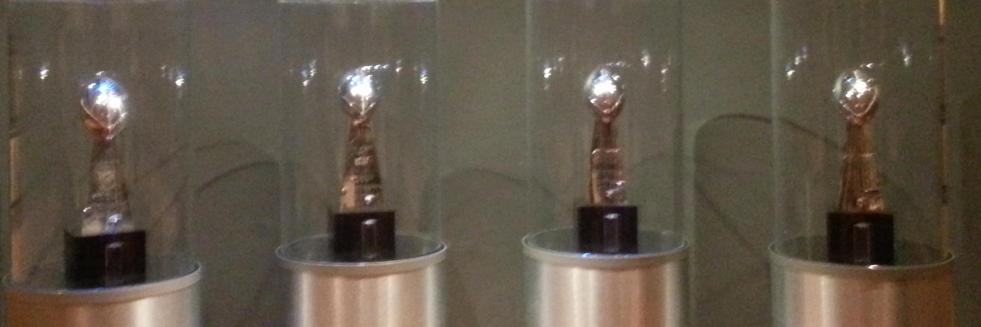 El Natrone 🇺🇸 banner