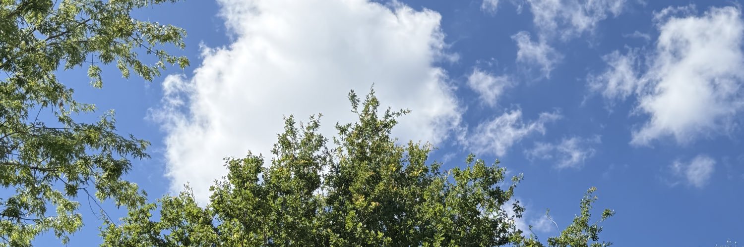 Insideyourbrain banner