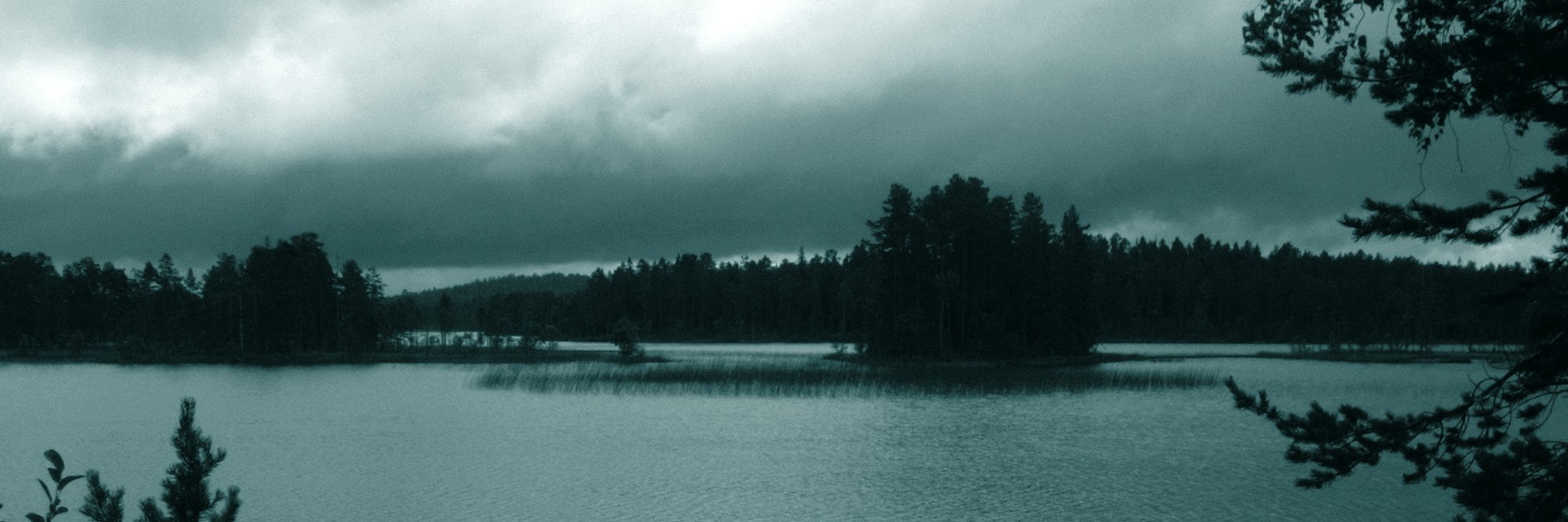 Andrea Resmini banner