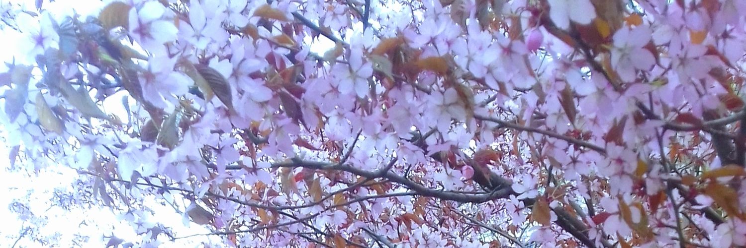 narufaery's profile banner image