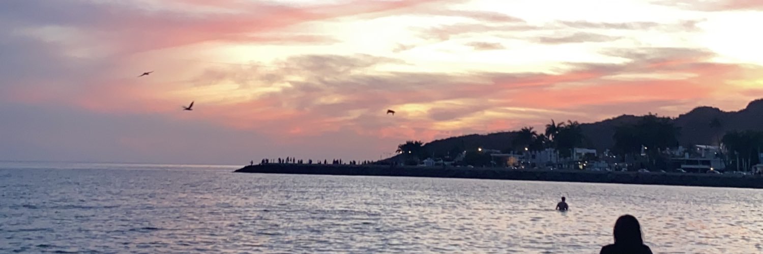 maritzasuarezl's profile banner image