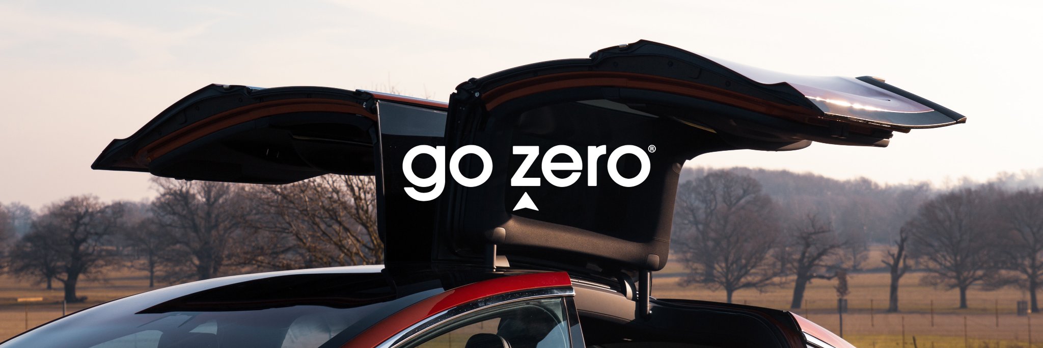 Go Zero banner