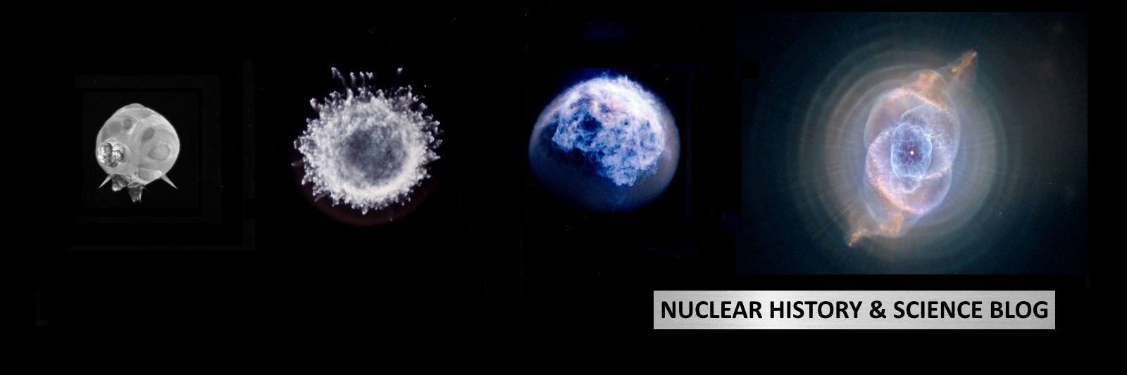 NUKES's banner