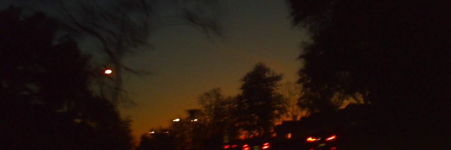 lisanalbrunin's profile banner image