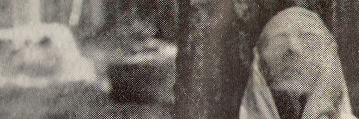 arpiwi_'s profile banner image