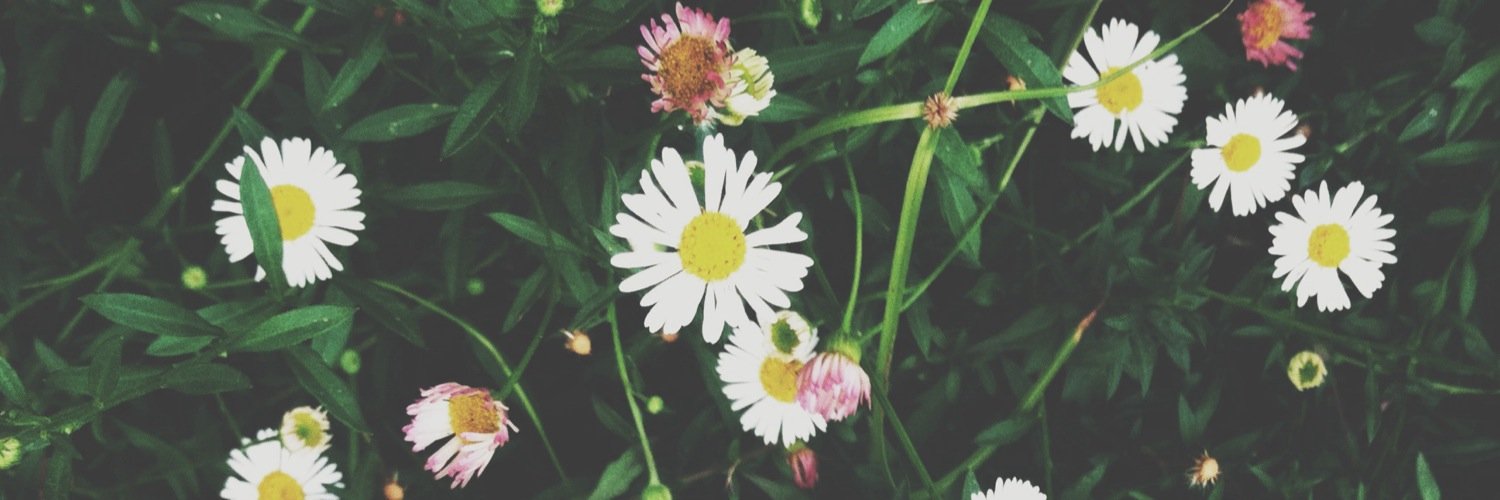 inezardelia's profile banner image
