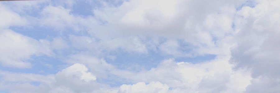 ché banner