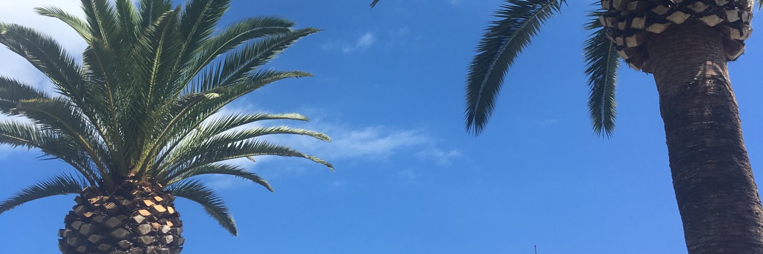 Emeliynelh's profile banner image