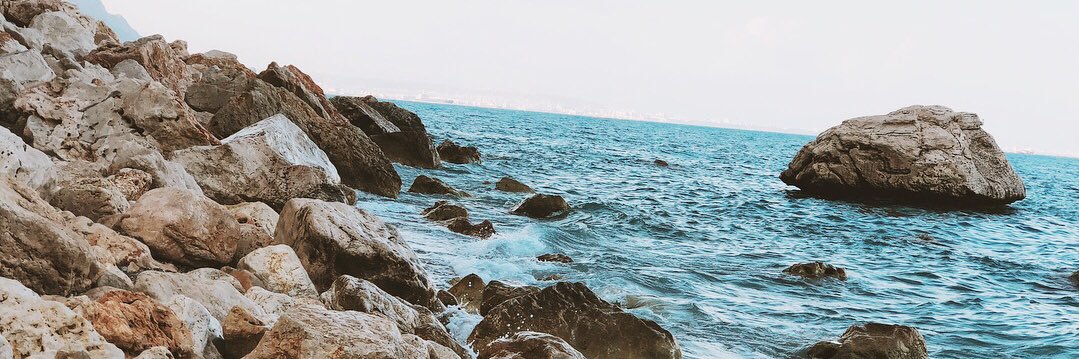 buchurlina's profile banner image
