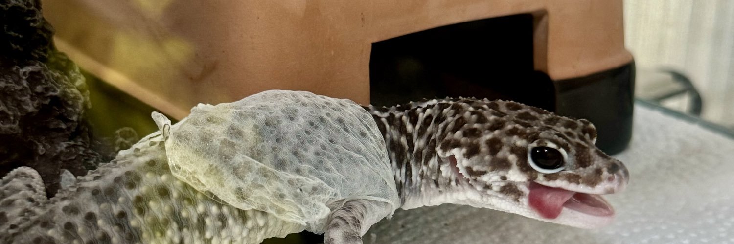 アルカリさん banner