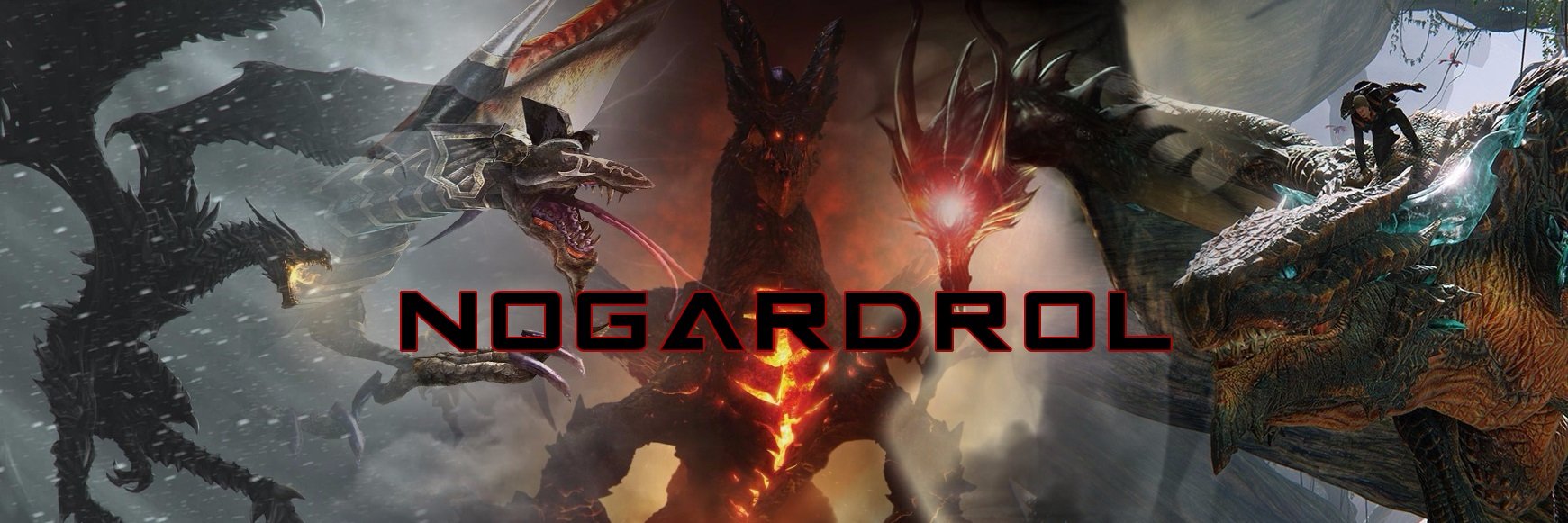 Nogardrol's profile banner image