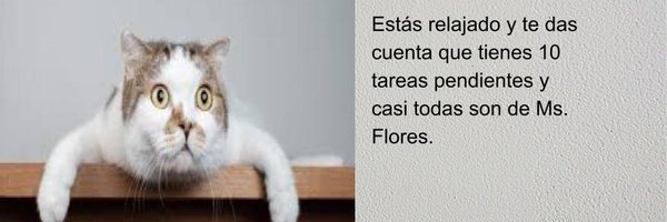 ProfeSraFlores Profile Banner