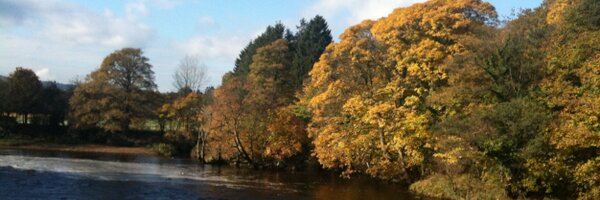 PaulinIdle Profile Banner