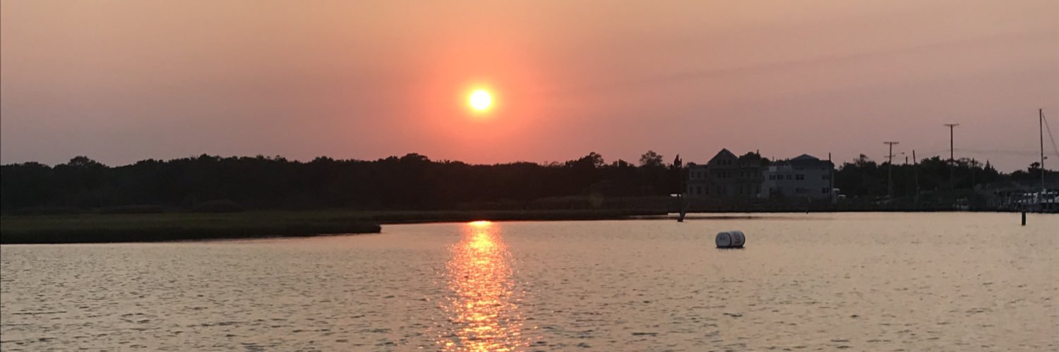 Danielle Brown banner