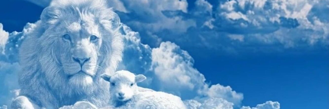 LoudoviQo 17(LabéQasse) banner