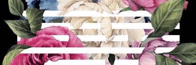 SHaPnunA's profile banner image