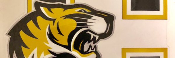 ComerSRO Profile Banner