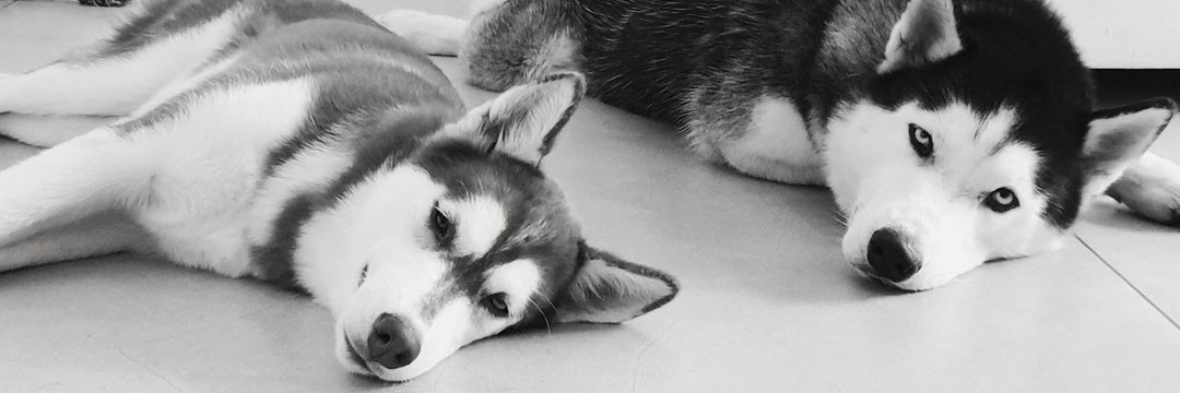 ceejayy9858's profile banner image