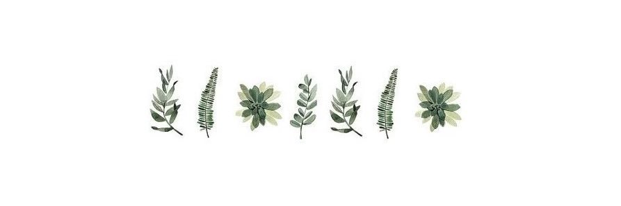 parker! 🍃's banner