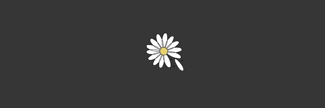 ummilgr's profile banner image