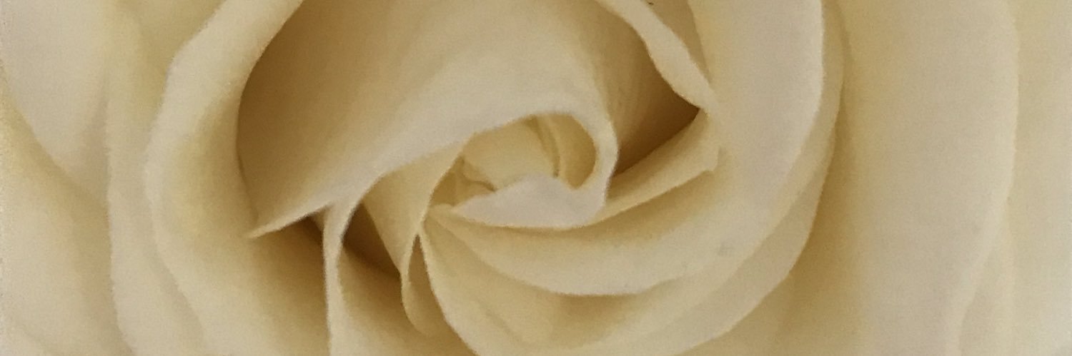 mrs_dunstone's profile banner image