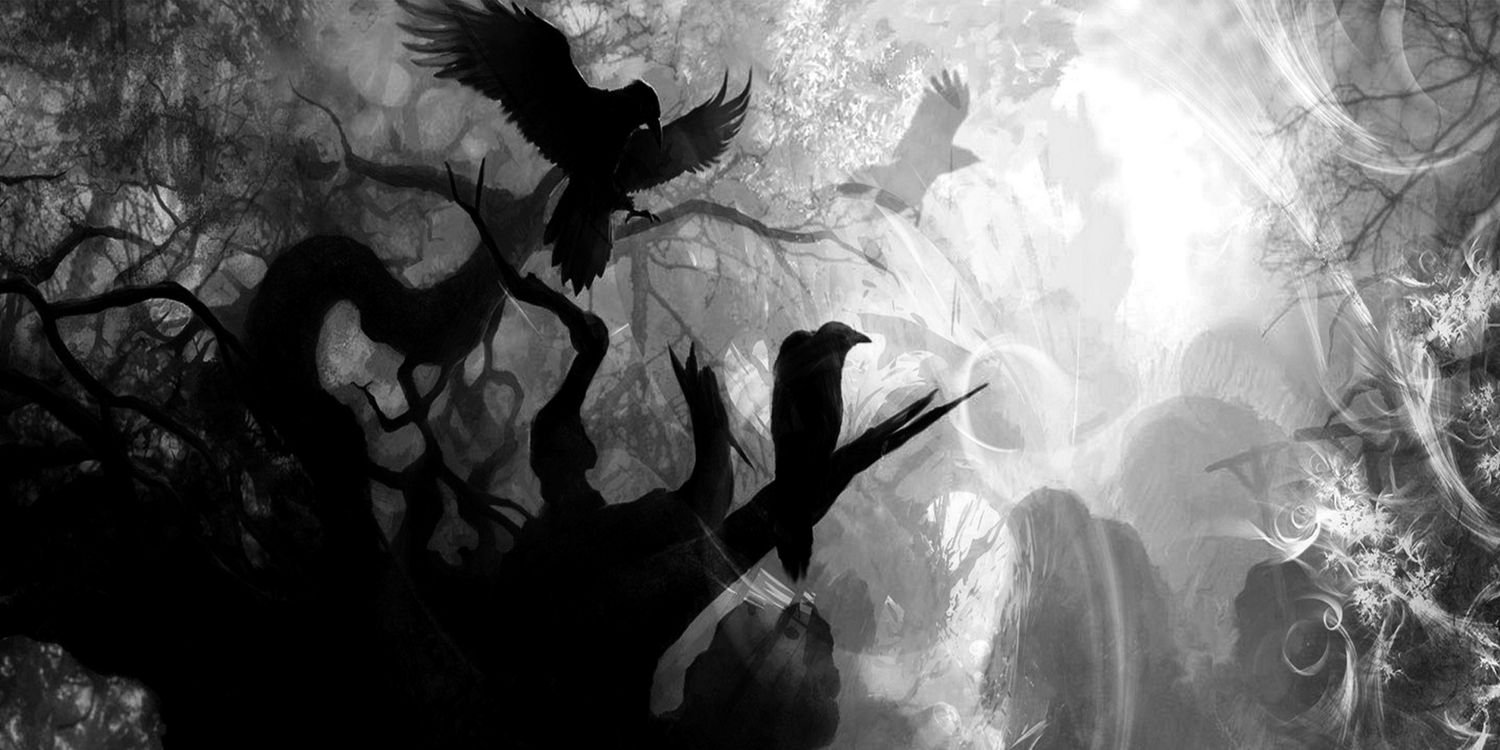 TriggerNFT's profile banner image
