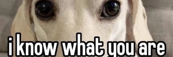 GizmoRocks10203 Profile Banner