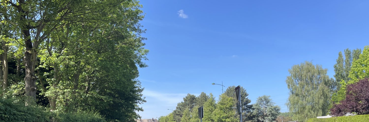 LilleC banner
