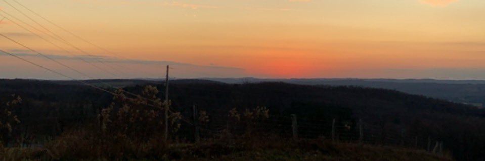 SFistrowicz's profile banner image