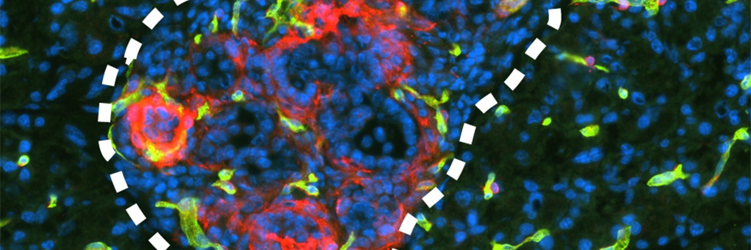 Brekkenlab's banner