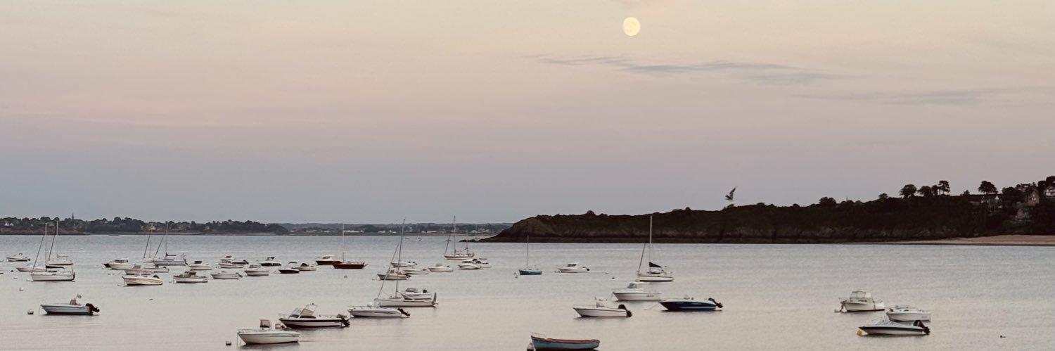 _BNicolas's profile banner image