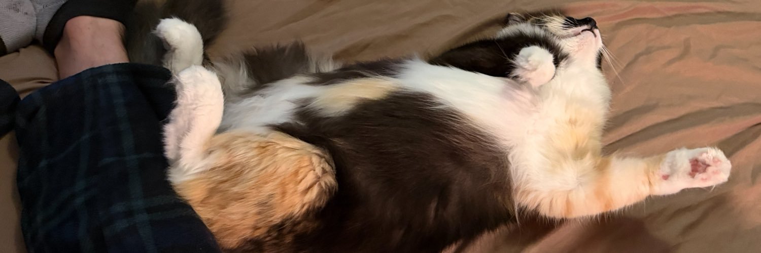 ldoisi's profile banner image