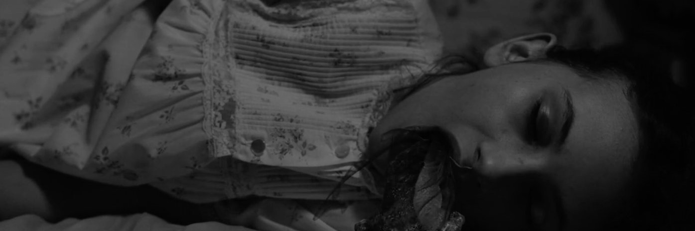ari_ne_ari's profile banner image