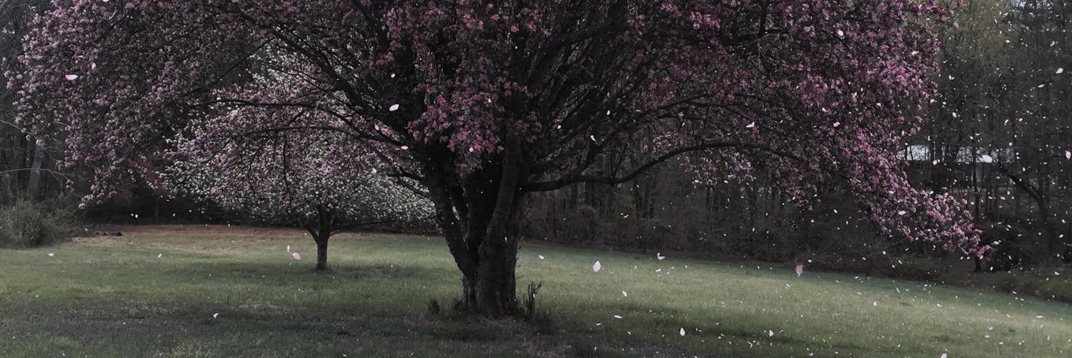 majones155's profile banner image