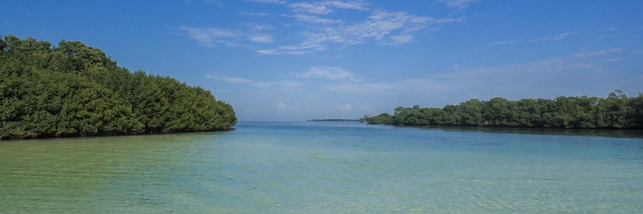 Heather A. Stewart, Ph.D. banner